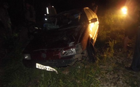 В Кировской области иномарка сбила лося: пострадали пять человек