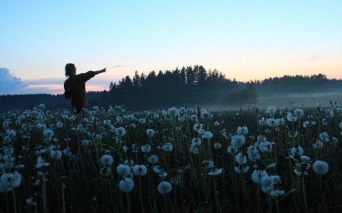 Пятница в Кирове: восхитительное лето, любовь и тарелка счастья