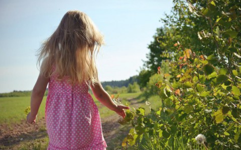 Погода в Кирове: температура воздуха в июне ожидается выше нормы