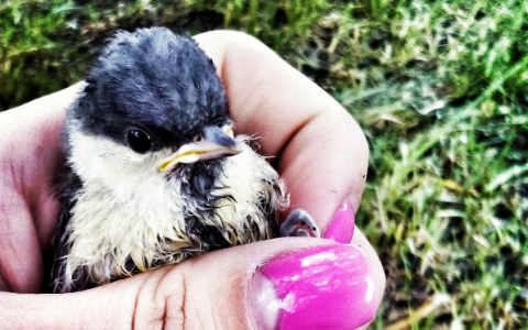 Вторник в Кирове: сирота, секрет счастья и ужас на улице