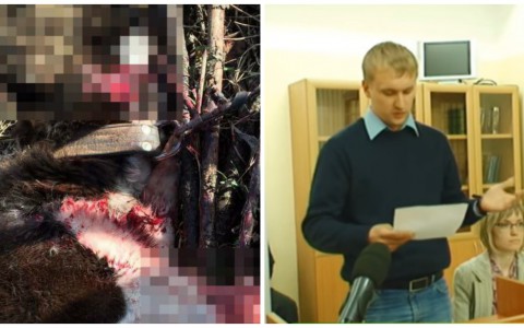 В Кирове расстреляли собаку: на заседании живодер сказал, что действовал из благих намерений