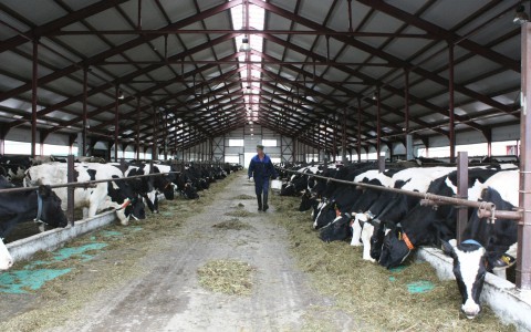 В развитие сельскохозяйственных предприятий Кировмолкомбинат вложил более 1 миллиарда рублей