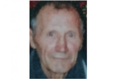 Собака пропавшего 2,5 недели назад кировчанина вернулась домой одна