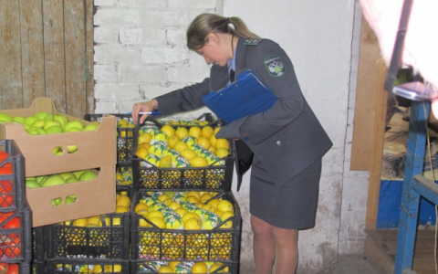 В Кирове уничтожили более 300 килограммов санкционных овощей и фруктов из ЕС