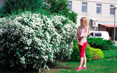 Прогноз погоды: какой будет рабочая неделя в Кирове?