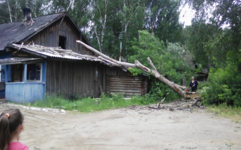 В Нововятске из-за сильного ветра на жилой дом упало дерево