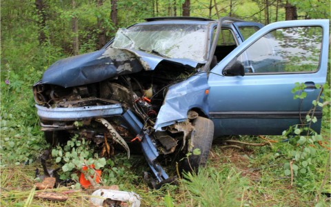 В Кировской области бесправник на Volkswagen влетел в дерево: пострадавших вырезали из авто