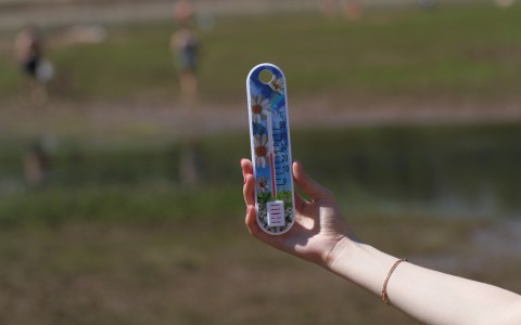 Прогноз погоды: в выходные в Киров вернется жара