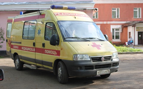 В Кировской области семимесячный ребенок впал в кому после укуса насекомого