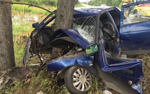 На Победиловском тракте «двенадцатая» влетела в дерево: водитель умер в больнице