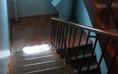 Результат проливных дождей в выходные: на Щорса затопило пятиэтажный дом