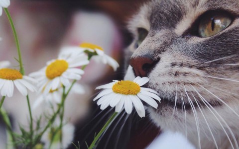 Вторник в Кирове: гадание на любовь и конная прогулка