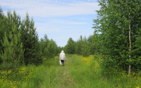 В Слободском районе грибники нашли труп мужчины: рядом с телом лежала записка