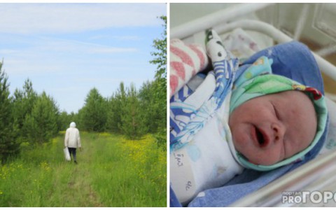 Что обсуждают в Кирове: труп мужчины в лесу и роды в пассажирском поезде