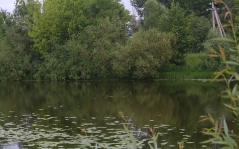 В Кировской области у пруда нашли тело пропавшего 10-летнего мальчика