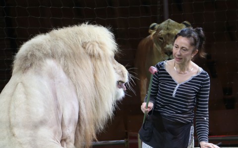 Дрессировщица львов: «На моих глазах хищник рвал моего мужа»