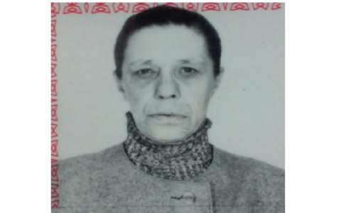 В Кировской области женщина ушла в лес за ягодами и пропала