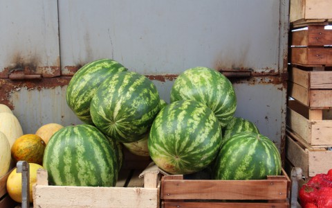 Карта: в Кирове откроются арбузные базары