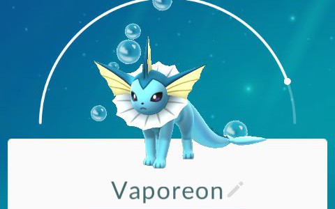 Поймать покемона в квартире соседа и выйти на 20 уровень: кировские фанаты о всеобщей истерии по поводу Pokemon Go