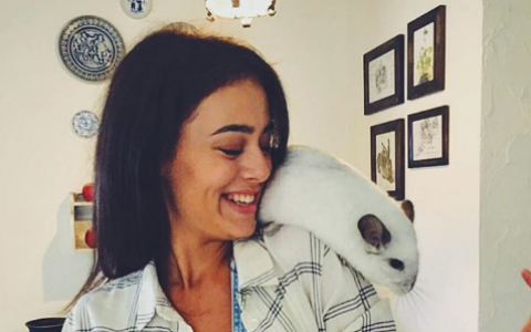 Четверг в Кирове: отдых на пляже, маленькая прелесть и селфи с котом