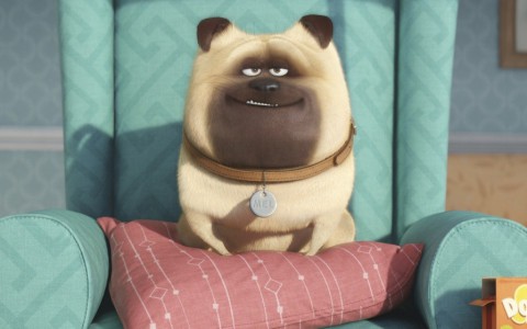 6 кинопремьер августа, которые нельзя пропустить