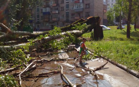 По Кирово-Чепецку пронесся ураган: вихрь снес деревья, выпал крупный град