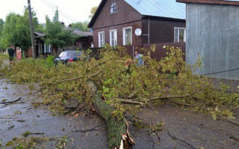 Фоторепортаж: в Кировской области прошли ураган и смерч