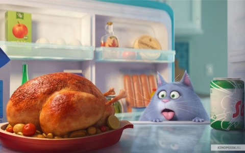 Кировчане на неделю раньше смогут увидеть премьеру мультфильма "Тайная жизнь домашних животных"