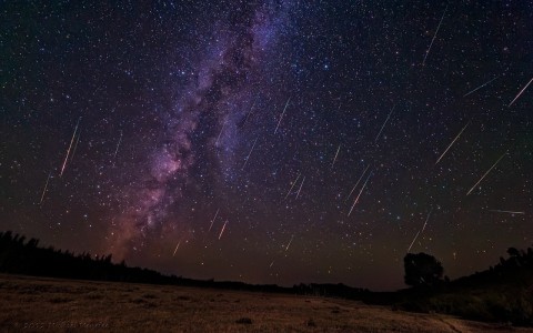 Кировчан приглашают посмотреть на самый красивый звездопад этого года