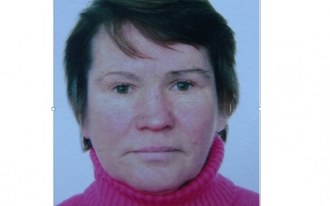 В Кировской области женщина ушла в лес и исчезла