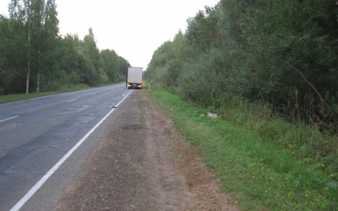 В Кировской области насмерть сбили двоих пешеходов