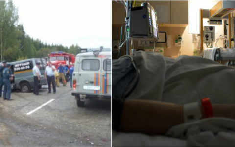 Что обсуждают в Кирове: подробности ДТП на трассе и капельница после KFC