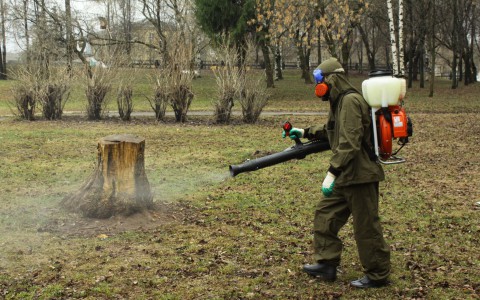 Киров снова обработают от клещей