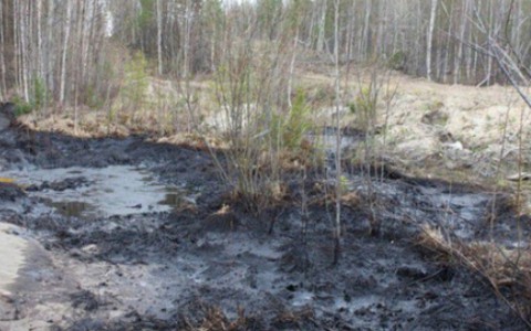 В Радужном обнаружили 2 участка разлива нефти