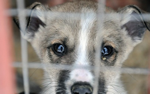 Нескучный weekend: "Миска добра" и "Ночь кино"