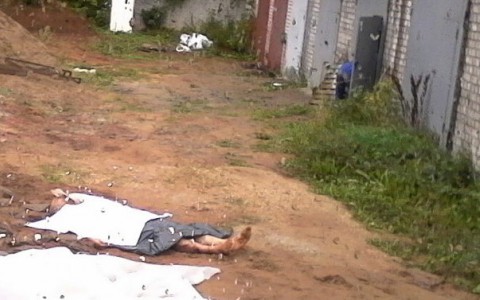 В Чепецке собаки насмерть загрызли мужчину