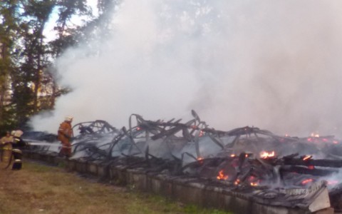 В пожаре на Зональном сгорели 20 тонн семян и УАЗ