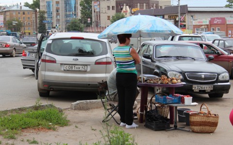 Кировские продавцы грибов раскрыли секрет, где они их собирают