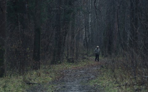 В Кировской области двое мужчин ушли из психоневрологического интерната в лес