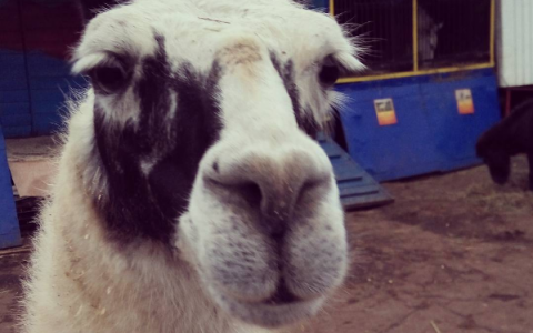 Вторник в Кирове: невероятное путешествие и любовь