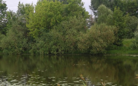 В Кировской области на берегу реки найдено тело пропавшего мужчины