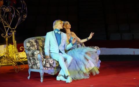 Хиты 80-х, попугаи ара, скоморохи: в кировском цирке стартует новое шоу