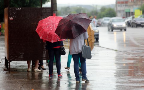 Какой будет погода в Кирове в выходные дни?