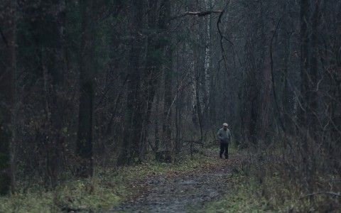 В Кировской области в лесу найден пропавший мужчина