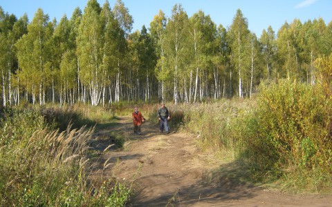В Кировской области нашли четверых заблудившихся грибников