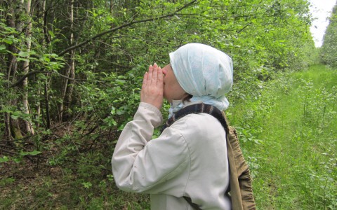 В Кировской области сразу четыре женщины заблудились в лесу