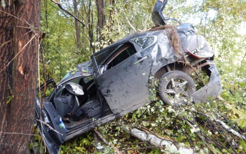 В Кировской области погиб молодой водитель, врезавшись в дерево