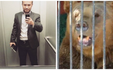 Что обсуждают в Кирове: дресс-код в правительстве и ужасы зоопарка