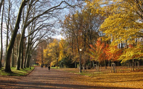 Прогноз погоды: какой будет рабочая неделя в Кирове?