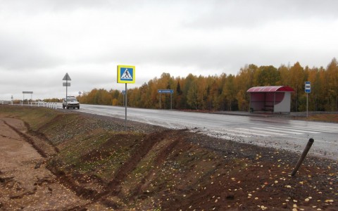 В Кировской области погиб водитель иномарки, перевернувшись в кювете